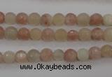 CMS870 15.5 inches 6mm faceted round moonstone gemstone beads