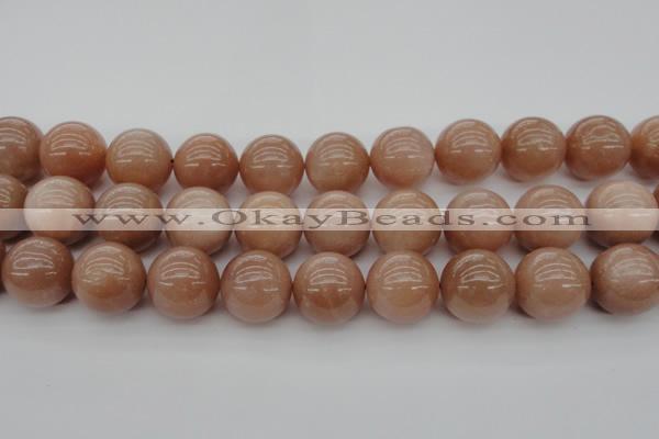 CMS937 15.5 inches 18mm round A grade moonstone gemstone beads