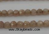 CMS940 15.5 inches 4mm faceted round A grade moonstone gemstone beads