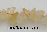 CNG1118 15.5 inches 8*12mm - 13*18mm nuggets citrine gemstone beads