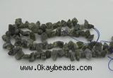 CNG1159 15.5 inches 8*12mm - 13*18mm nuggets labradorite beads