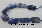 CNG2428 15.5 inches 25*35mm - 30*40mm freeform lapis lazuli beads