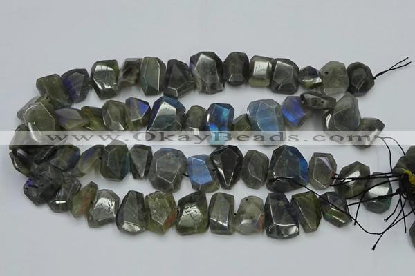 CNG2825 15.5 inches 13*18mm - 15*20mm freeform labradorite beads