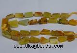 CNG2900 15.5 inches 12*16mm - 15*25mm freeform agate beads