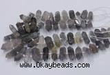 CNG3206 15.5 inches 10*25mm - 12*45mm faceted nuggets cloudy quartz beads