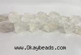 CNG3558 15.5 inches 18*20mm - 25*30mm nuggets rough white crystal beads