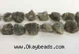 CNG3567 15.5 inches 18*20mm - 25*30mm nuggets rough labradorite beads