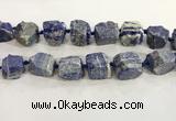 CNG3570 15.5 inches 18*20mm - 25*30mm nuggets rough lapis lazuli beads