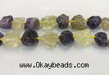 CNG3576 18*20mm - 25*30mm nuggets rough amethyst & lemon quartz beads