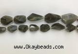 CNG3589 13*18mm - 15*30mm faceted nuggets labradorite beads