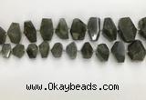 CNG3590 10*16mm - 15*30mm faceted nuggets labradorite beads