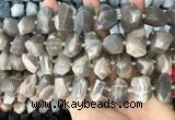 CNG3605 15.5 inches 13*20mm - 15*24mm faceted nuggets moonstone beads