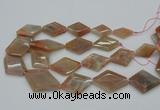 CNG5064 15.5 inches 20*30mm - 35*45mm faceted freeform sunstone beads