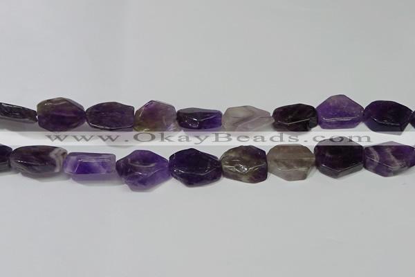 CNG5104 15.5 inches 14*20mm - 18*25mm freeform amethyst beads