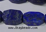 CNG5110 15.5 inches 14*20mm - 18*25mm freeform lapis lazuli beads