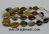 CNG5158 15.5 inches 16*22mm - 30*35mm freeform Mexican agate beads