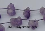 CNG5260 15.5 inches 5*8mm - 15*20mm nuggets amethyst beads