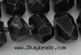 CNG5368 12*16mm - 15*20mm faceted nuggets black tourmaline beads