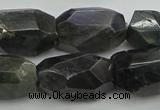 CNG5389 15.5 inches 12*16mm - 15*25mm faceted nuggets labradorite beads