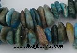 CNG5438 15.5 inches 3*10mm - 5*18mm nuggets apatite beads