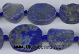 CNG5566 15.5 inches 12*16mm - 18*22mm freeform lapis lazuli beads