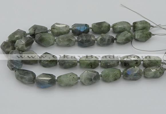 CNG5586 12*16mm - 15*25mm faceted nuggets labradorite beads