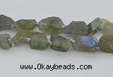 CNG5620 6*9mm - 10*16mm nuggets labradorite gemstone beads