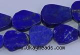 CNG5716 15.5 inches 12*16mm - 15*20mm freeform lapis lazuli beads