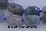 CNG5717 15.5 inches 12*16mm - 13*18mm faceted nuggets aquamarine beads