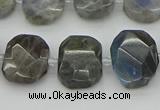 CNG5722 15.5 inches 12*16mm - 15*20mm faceted freeform labradorite beads