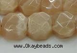 CNG5872 15.5 inches 8*12mm - 12*16mm faceted freeform moonstone beads