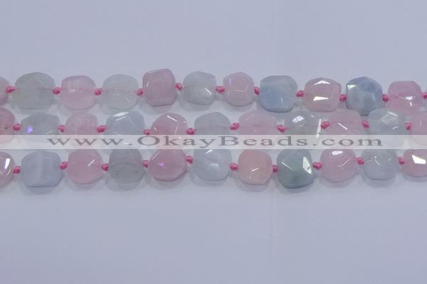 CNG5950 15.5 inches 10*12mm - 10*14mm faceted freeform morganite beads