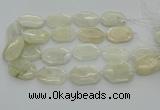 CNG6927 20*30mm - 35*45mm faceted freeform white moonstone beads