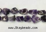 CNG6946 15.5 inches 22*25mm - 25*30mm freeform amethyst beads