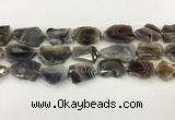 CNG6947 15.5 inches 18*20mm - 22*25mm freeform Botswana agate beads