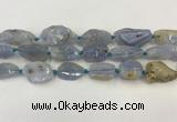 CNG6950 15.5 inches 18*20mm - 22*30mm freeform blue chalcedony beads