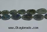 CNG7052 15.5 inches 25*35mm - 30*45mm freeform labradorite beads