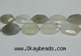 CNG7081 15.5 inches 25*35mm - 35*45mm faceted freeform agate beads