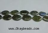 CNG7098 25*35mm - 35*45mm faceted freeform labradorite beads