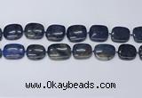 CNG7117 15.5 inches 20*25mm - 25*30mm freeform blue dumortierite beads