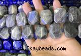 CNG7480 15.5 inches 18*25mm - 20*28mm faceted freeform labradorite beads