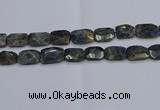 CNG7487 15.5 inches 18*25mm - 20*30mm faceted freeform labradorite beads