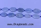 CNG7511 15.5 inches 25*35mm - 30*40mm faceted freeform aquamarine beads