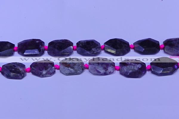 CNG7525 15.5 inches 18*25mm - 25*35mm faceted freeform tourmaline beads