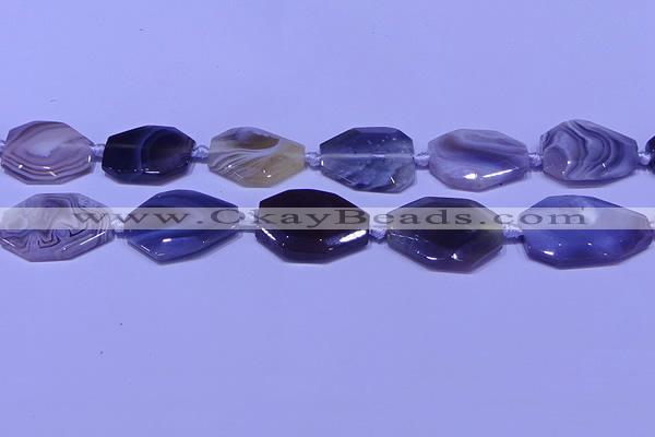 CNG7527 18*25mm - 25*35mm faceted freeform Botswana agate beads