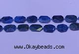 CNG7533 15.5 inches 18*25mm - 25*35mm faceted freeform apatite beads