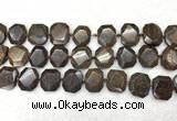 CNG7568 15.5 inches 18*25mm - 20*28mm faceted freeform bronzite beads