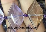 CNG7702 15.5 inches 13*20mm - 15*25mm faceted freeform ametrine beads