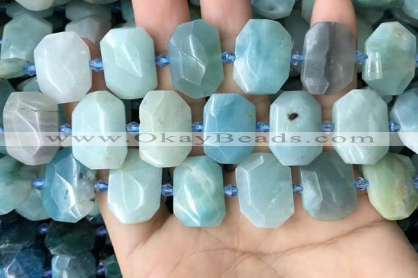 CNG7769 13*18mm - 15*25mm faceted freeform amazonite beads