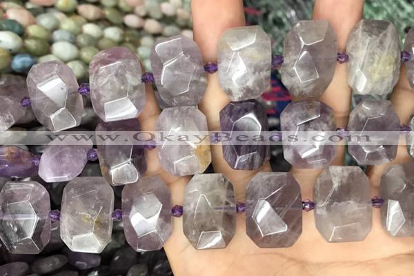 CNG7777 15.5 inches 13*18mm - 15*25mm faceted freeform amethyst beads